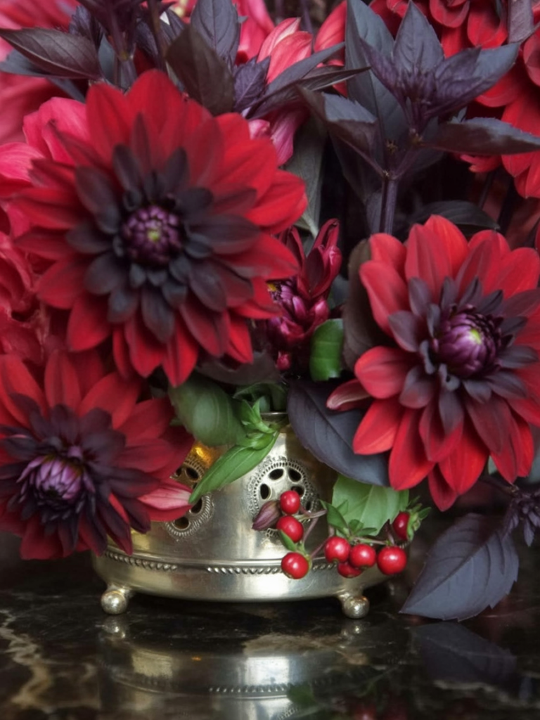 A close-up photograph of vibrant red dahlia flowers with dark purple centers, arranged in a decorative silver metal container. The dahlia blooms are large and fully opened, displaying rich crimson petals radiating from dark purple centers. Deep purple-green leaves are interspersed among the flowers.